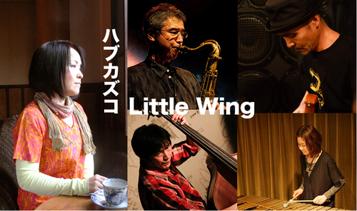 LittleWing2014Banner.jpg