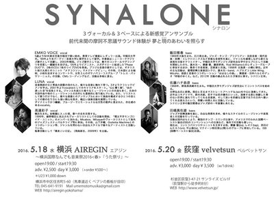 +201605SYNALONE_Flyer_Back.jpg